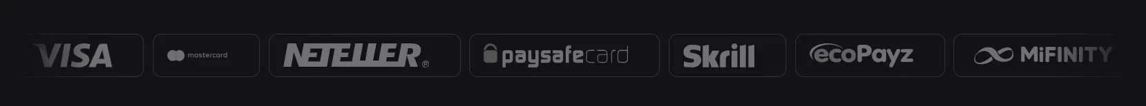 Payment Methods at King Billy Casino